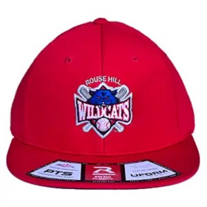 2D Richardson Fitted Cap
