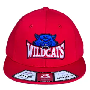 3D Richardson Fitted Cap